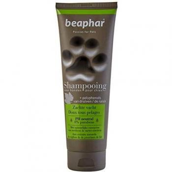 Beaphar Champú Alta Cosmética Perros Todo Tipo de Pelo, Un tamaño 250 ml 250 ml