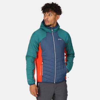 Chaqueta outdoor hombre Regatta Trutton Verde (S)