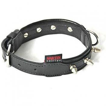 Collar de cuero de vaca con remaches para perro Martin Sellier