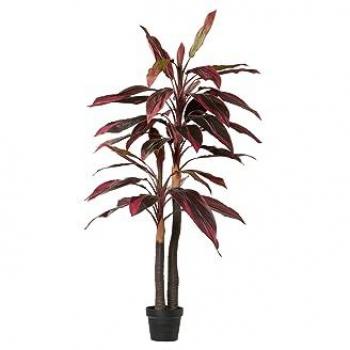 Árbol Cycas Roja con Maceta 50x50x130 cm