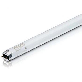 Philips Master TL-D – 90 Graphica 36 W/950 SLV/10