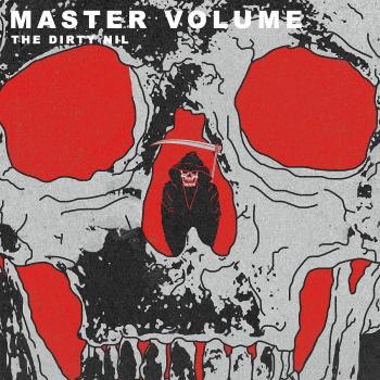 Vinyl Master Volume Controller