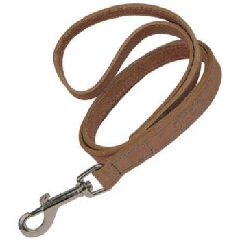 Correa para Perro Gloria Oasis Marrón