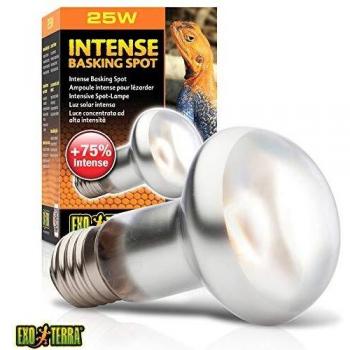 EXO TERRA Bombilla Halógeno Intense Basking Spot, 25 W