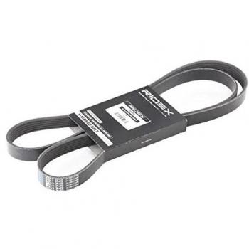 Correa Trapecial Poli V RIDEX 305P0081 para VW, AUDI y BMW - Compatible con modelos Golf, Polo y Touran - Longitud 1700mm, Ancho 21.36mm
