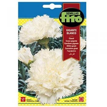 Semilla Clavel gigante blanco - Semillas Fitó