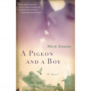 A Pigeon and a Boy: A Novel