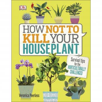 How Not to Kill Your Houseplant: Survival Tips for the Horticulturally Challenged