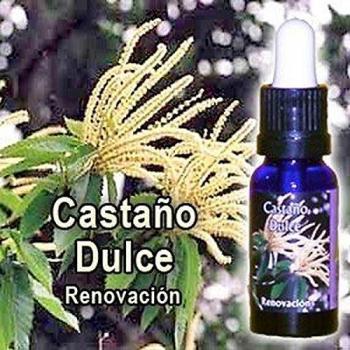 Castao dulce esencia triunidad 15 ml de phytovit