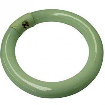Tubo Fluorescente Circular Velleman de 22W para Faroles