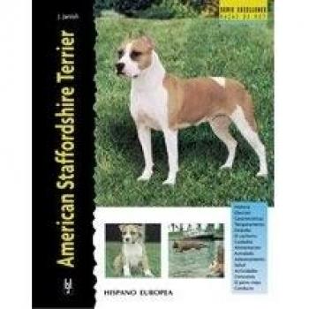 American Staffordshire Terrier