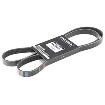 Correa Poli-V RIDEX 305P0287 para VW, AUDI y FORD - Cinghia de Servicios y Alternador