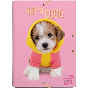 Carpeta Studio Pets Dog Lovely Puppies / Carpeta de Solapas | Producto licencia oficial - Carpeta Kalenda
