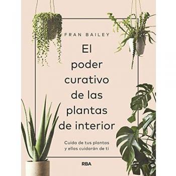 El poder curativo de las plantas de interior