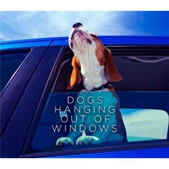 Perros Asomados por las Ventanas - Colección de Imágenes Divertidas