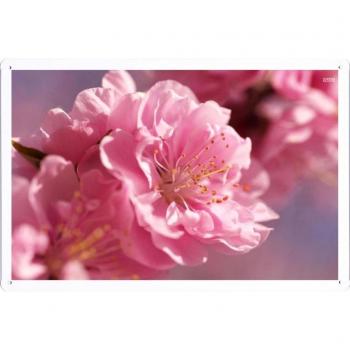 Metal cartel Cartel de chapa Hojalata sesión Flower Tin Sign Prunus Mume Blossoms 33042 Retro Vintage Pared Decoración by hamgaacaan