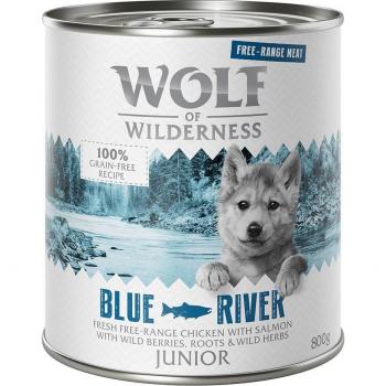 Wolf of Wilderness Free Range Junior 12 x 800 g - Pack Ahorro - Junior Blue River - Pollo campero y salmón