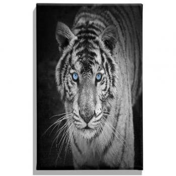 Impresión sobre Lienzo Tigre 1, Poliéster Multicolor, Marco de Madera, 45x3x70 cm