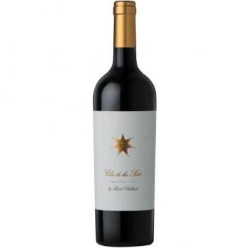 Clos de los Siete - Vino tinto Valle de Uco