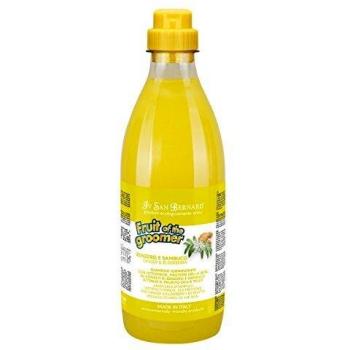Iv San Bernard 020516 Fruits Champú Zenzero y Sambuco 1000 ml