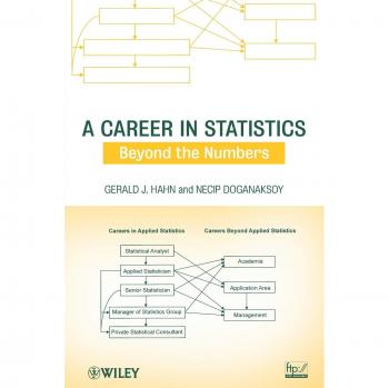 Statistics Career Guide: Beyond the Numbers (Paperback)