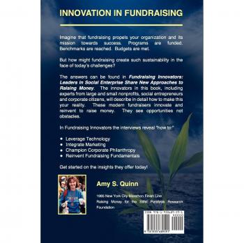 Social Enterprise Fundraising Strategies: Innovative Approaches to Raising Money by Amy S. Quinn
