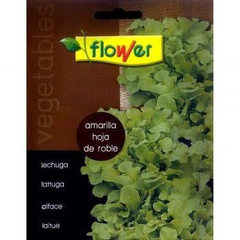 Flower - Sobre semillas lechuga