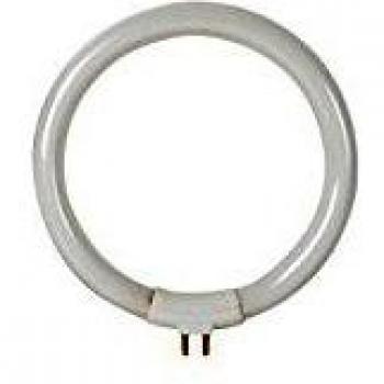 Tubo Fluorescente Circular Velleman 12W/T4 para VTLAMP8 - Blanco Frío