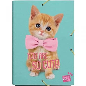 Carpeta Studio Pets Cat Lovely Kittens / Carpeta de Solapas | Producto licencia oficial - Carpeta Kalenda