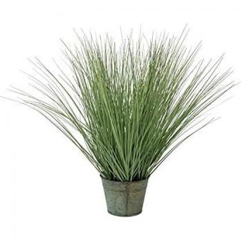 Europalms 82600145 - Grasa Decorativa