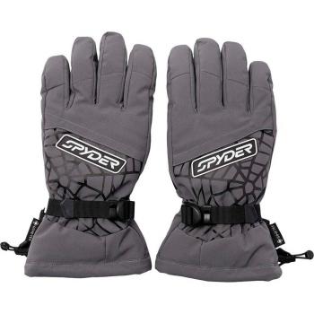 Guantes de esquí de hombre Overweb Gore-Tex Spyder