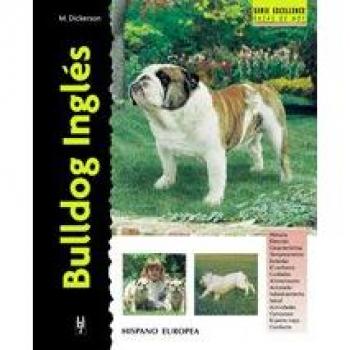 Bulldog Inglés