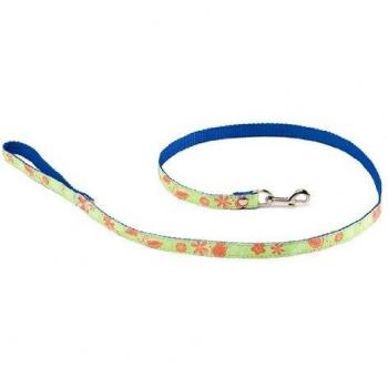 Correa para perros Martin Sellier M con collar y correa para pasear