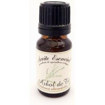Labiatae Aceite Esencial Árbol Te