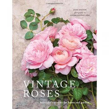 Vintage Roses: Beautiful Varieties for Home and Garden