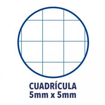 Recambio Oxford A4 80 hojas 4 taladros cuadro 5 mm color rosa chicle