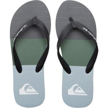 Chanclas de hombre Molokai Stripe Quiksilver