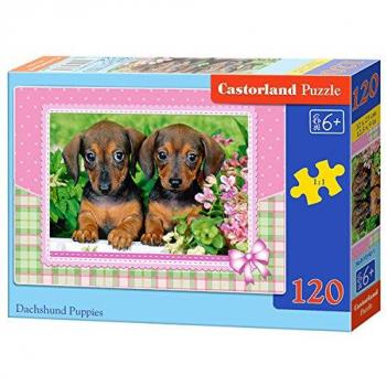 Rompecabezas de 120 piezas de cachorros Dachshund de Castorland