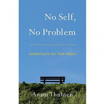 No Self, No Problem: Awakening to Our True Nature