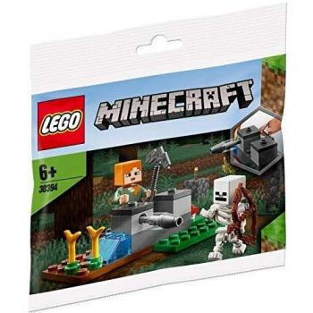 LEGO Minecraft The Skeleton Defense 30394
