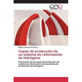 Capas de protección de un sistema de reformación de hidrógeno: Evaluación de las capas de protección del sistema de reformación de una planta de producción de hidrógeno