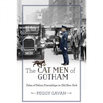 The Cat Men of Gotham