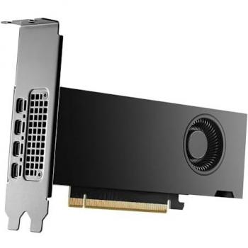 Tarjeta Gráfica NVIDIA RTX 2000 Ada 16 GB GDDR6 PCIe x16 Mini DisplayPort
