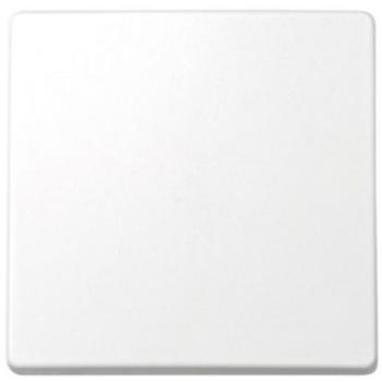 Simon 73010-60 - Tecla Interruptor y Conmutador s-73, Blanco