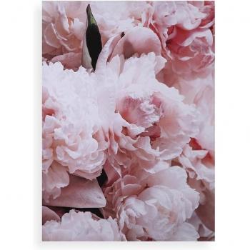 Lienzo Decorativo Claveles Rosas 50x70 cm