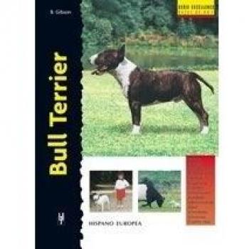 Bull Terrier