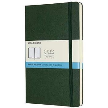 Cuaderno Moleskine Clásico Grande Puntos Tapa Dura Verde Mirto 240 Páginas