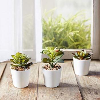 HapeeFun Plantas Suculentas Artificiales, 6 Piezas, Planta Artificial Decorativa, Adecuado para El Hogar Oficina Decoración Jardín Baño Cocina Balcón Planta Falsa Decorativas