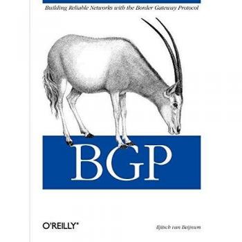 BGP: Building Reliable Networks with the Border Gateway Protocol
