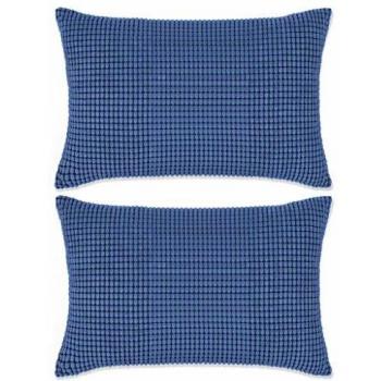 vidaXL 2X Cojines de Terciopelo 40x60cm Azul Accesorios para Hogar Decoración